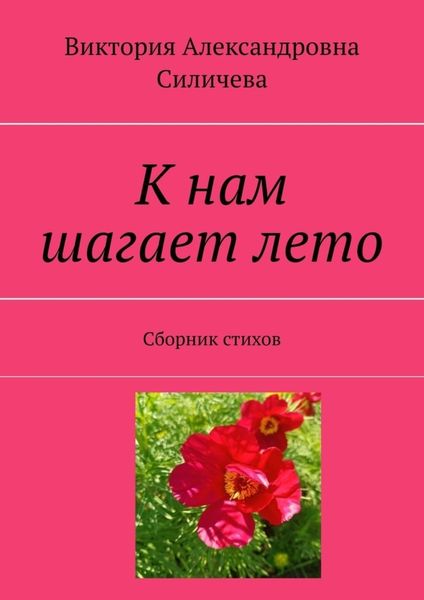 Обложка книги  «К нам шагает лето. Сборник стихов»
