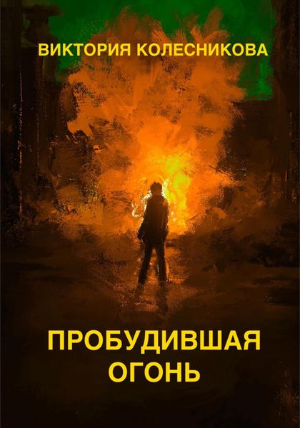 Обложка книги «Пробудившая огонь»