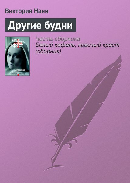 Обложка книги «Другие будни»