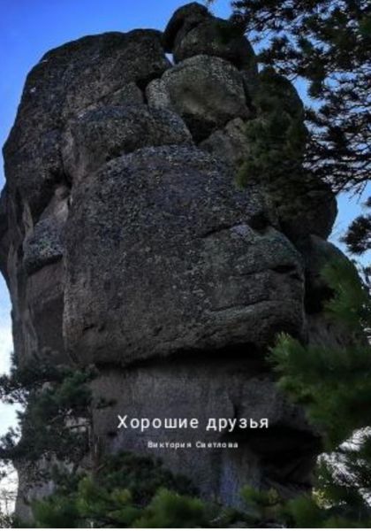 Обложка книги  «Хорошие друзья»