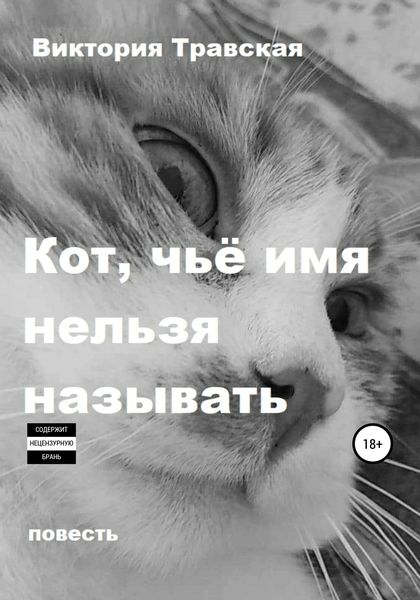 Обложка книги  «Кот, чьё имя нельзя называть»