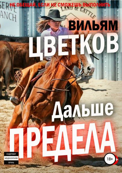 Обложка книги «Дальше предела»