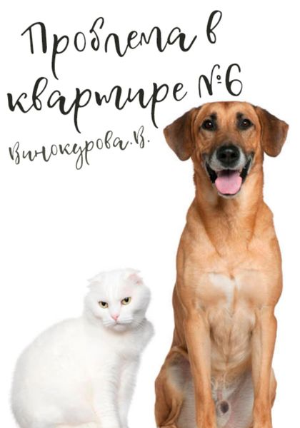 Обложка книги  «Проблема в квартире 6»