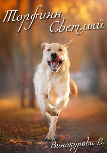 Обложка книги  «Торфинн Светлый»