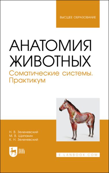 Обложка книги  «Анатомия животных. Соматические системы. Практикум. Учебное пособие для вузов»