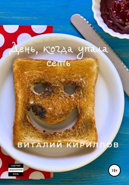 Обложка книги  «День, когда упала сеть»