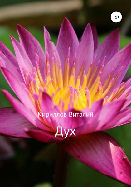 Обложка книги  «Дух»