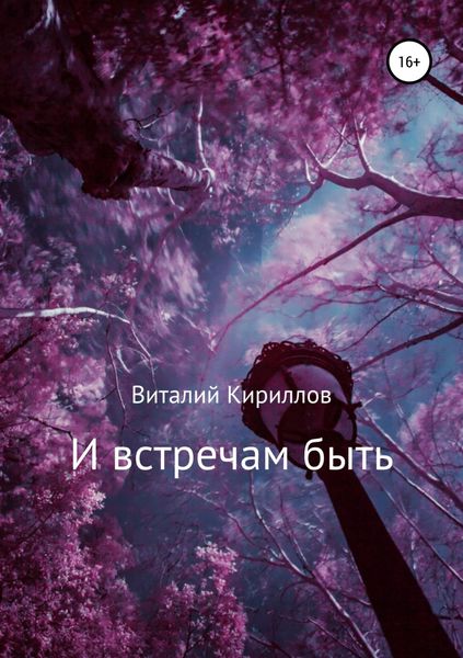 Обложка книги  «И встречам быть. Сборник рассказов»
