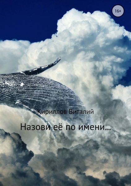 Обложка книги  «Назови её по имени…»