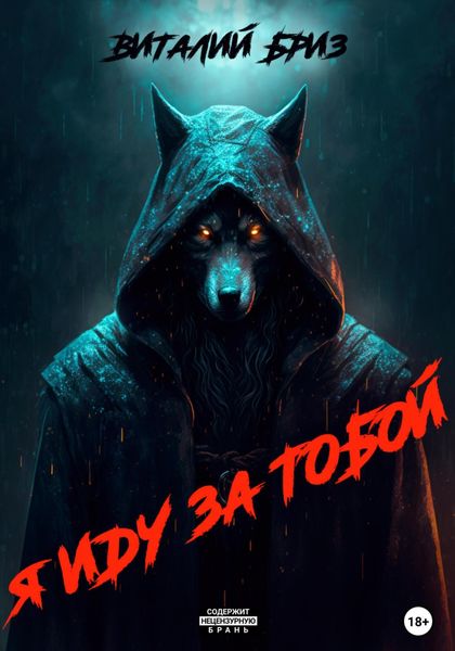 Обложка книги  «Я иду за тобой»