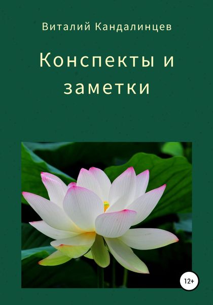 Обложка книги  «Конспекты и заметки»