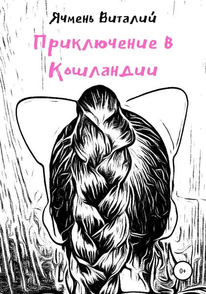 Обложка книги «Приключение в Кошландии»