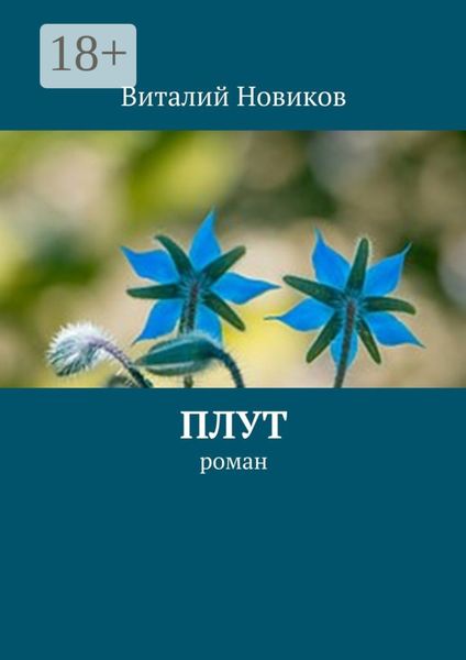 Обложка книги  «Плут. роман»