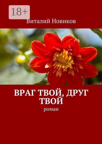 Обложка книги  «Враг твой, друг твой. Роман»
