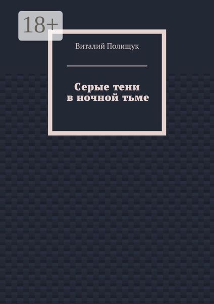 Обложка книги  «Серые тени в ночной тьме»