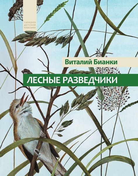 Обложка книги  «Лесные разведчики»