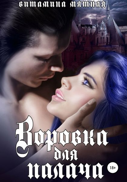 Обложка книги  «Воровка для палача»