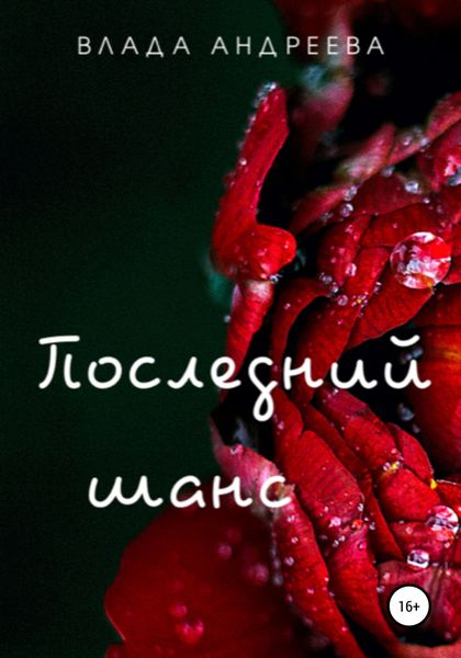 Обложка книги  «Последний шанс»