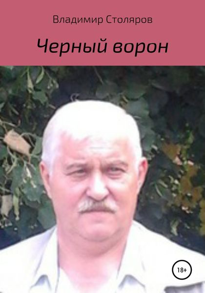 Обложка книги  «Черный ворон»