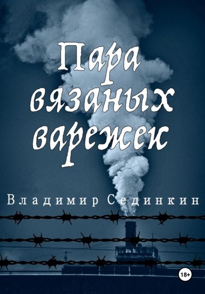 Обложка книги  «Пара вязаных варежек»