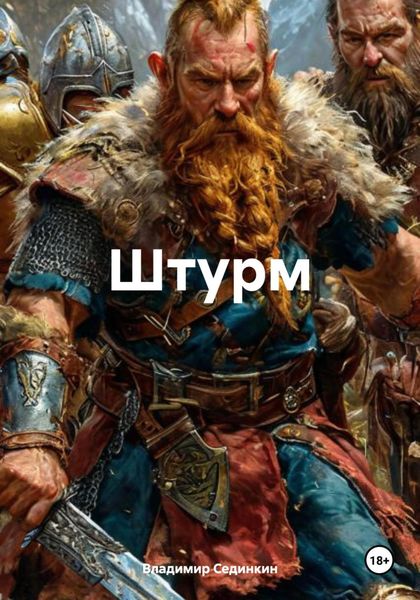 Обложка книги  «Штурм»