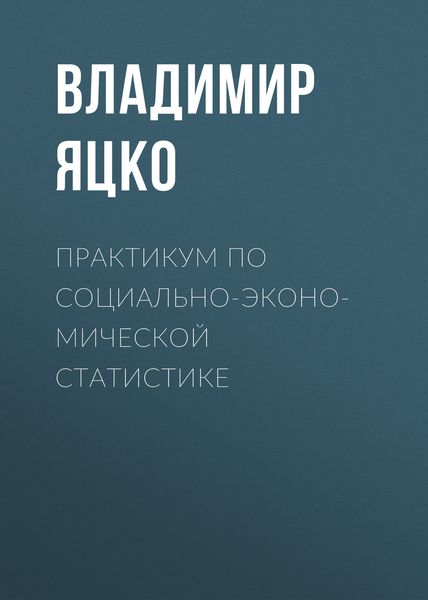 Обложка книги «Практикум по социально-экономической статистике»