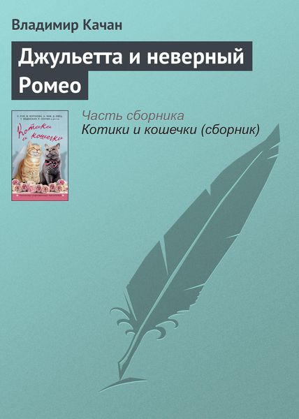 Обложка книги «Джульетта и неверный Ромео»