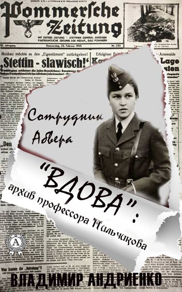 Обложка книги  ««Вдова»: архив профессора Пильчикова»