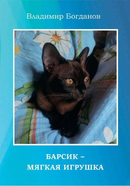 Обложка книги  «Барсик – мягкая игрушка»