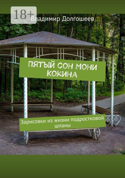 Обложка книги «Пятый сон Мони Кокина. Зарисовки из жизни подростковой шпаны»