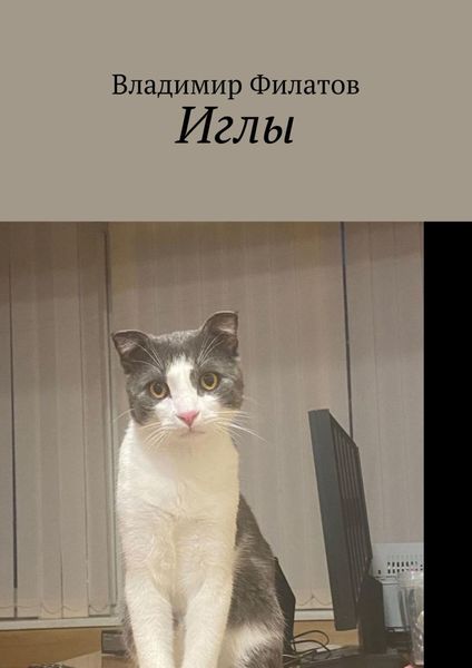 Обложка книги  «Иглы»