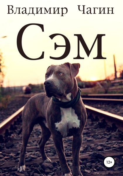 Обложка книги  «Сэм»