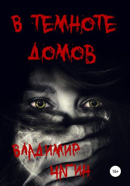 Обложка книги  «В темноте домов»