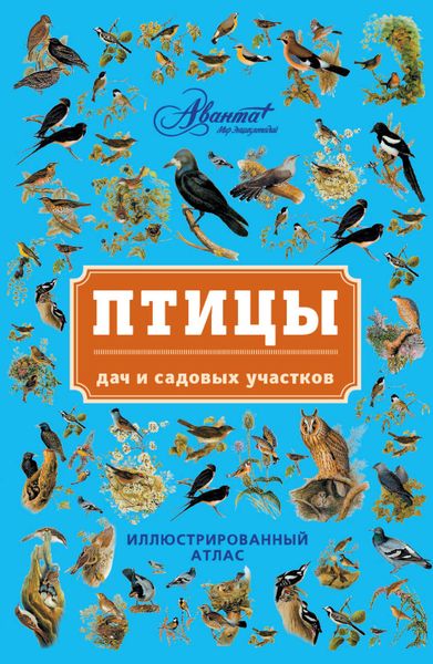 Обложка книги «Птицы дач и садовых участков»