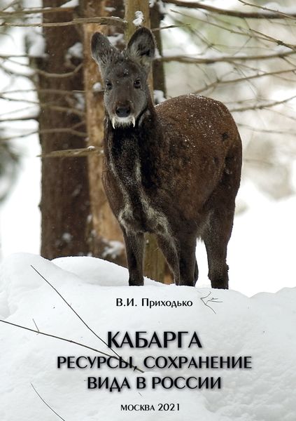 Обложка книги «Кабарга. Ресурсы, сохранение вида в России»