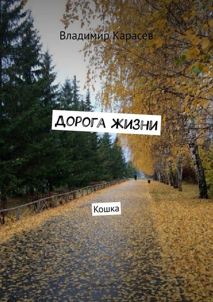 Обложка книги  «Дорога жизни. Кошка»