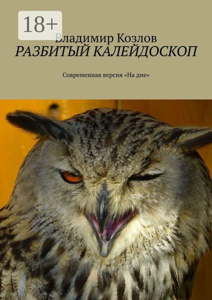 Обложка книги  «Разбитый калейдоскоп. Современная версия «На дне»»