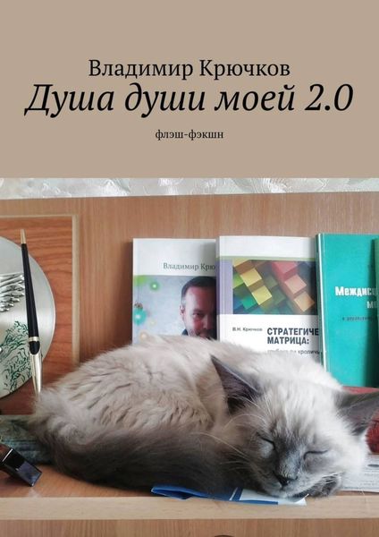 Обложка книги  «Душа души моей 2.0. флэш-фэкшн»