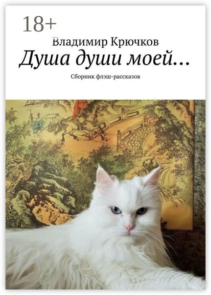 Обложка книги  «Душа души моей… Сборник флэш-рассказов»