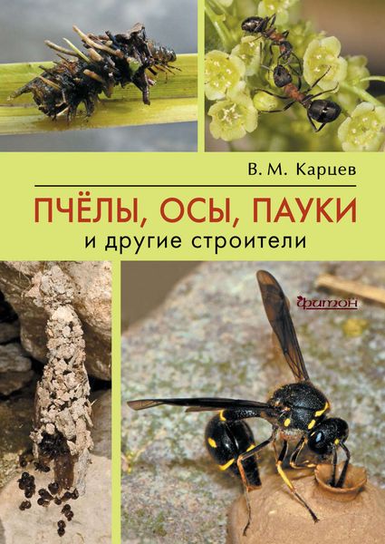 Обложка книги «Пчёлы, осы, пауки и другие строители»