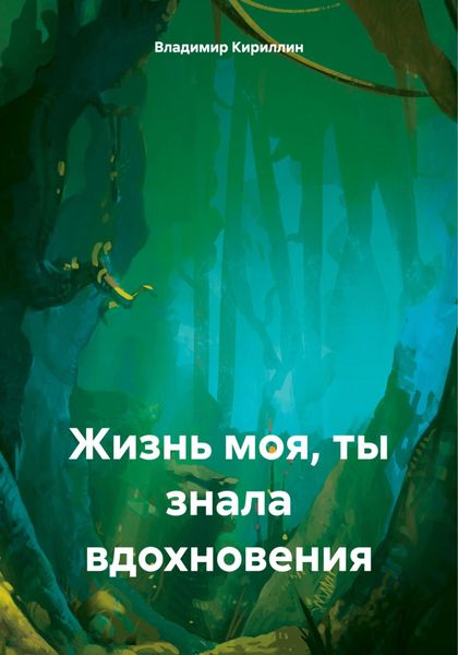 Обложка книги «Жизнь моя, ты знала вдохновения»