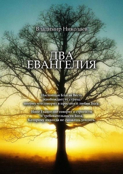 Обложка книги  «Два Евангелия. Современные и вечные проблемы христианства, отношений человека и Бога»
