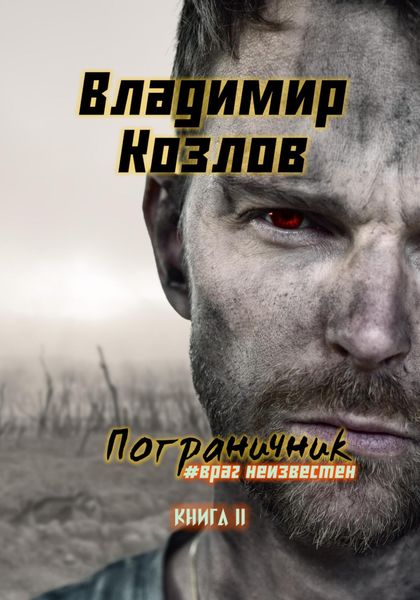 Обложка книги  «Пограничник. #Враг неизвестен»