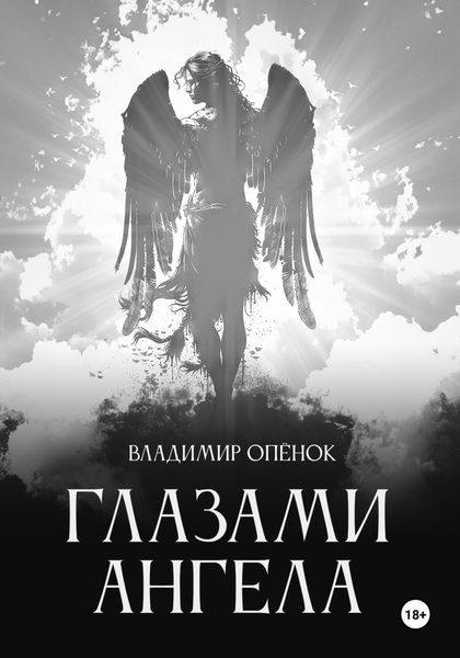 Обложка книги  «Глазами Ангела»
