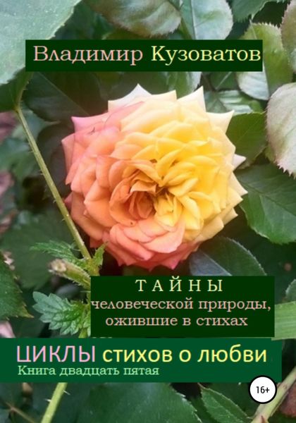 Обложка книги  «Тайны человеческой природы, ожившие в стихах. Циклы стихов о любви. Книга двадцать пятая»