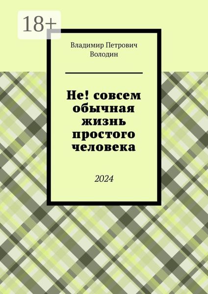 Обложка книги «Не! совсем обычная жизнь простого человека. 2024»