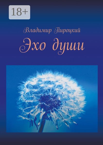 Обложка книги «Эхо души»