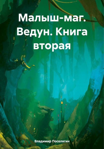 Обложка книги  «Малыш-маг. Ведун. Книга вторая»
