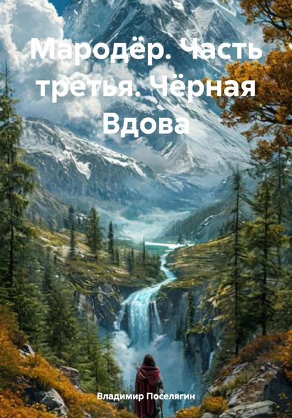 Обложка книги «Мародёр. Часть третья. Чёрная Вдова»