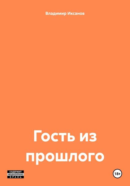 Обложка книги  «Гость из прошлого»